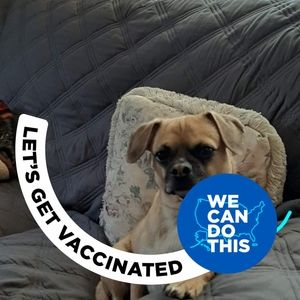 Meet your Posher, Yanny